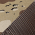 Desert Camo/ Brown