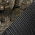 Realtree Timber/ Black