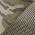 Mossy Oak Bottomland/ Loden