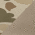 Harvest Duck Camo/ Light Brown
