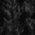 Deep Black