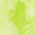 Lemon Lime