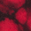 Black/ Red