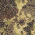 Mossy Oak New Break Up/ Deep Black