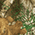 Realtree Edge