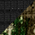 Deep Black/ Realtree Edge