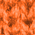 Neon Orange