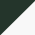 Forest Green/ White